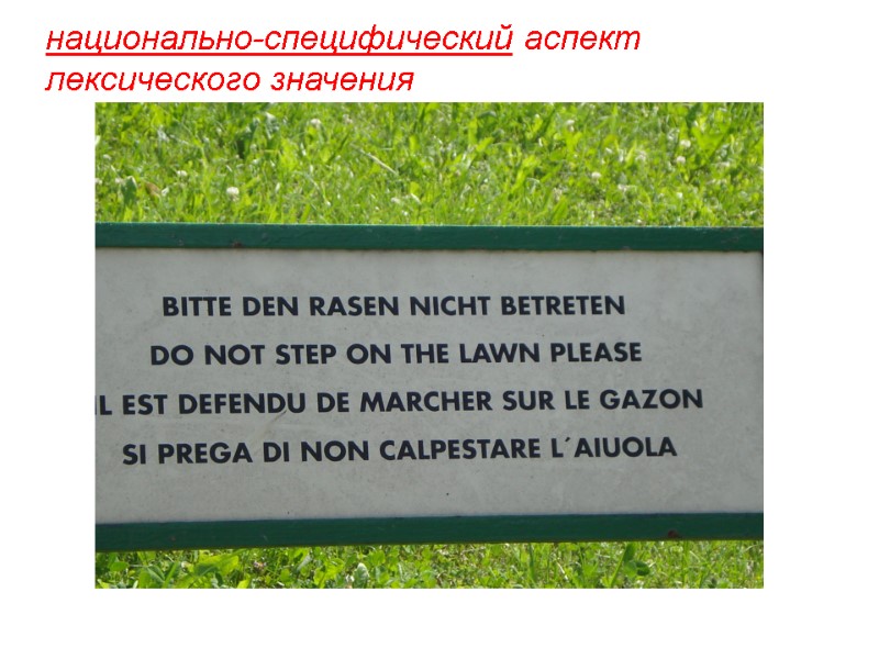 национально-специфический аспект лексического значения